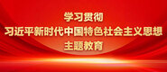 免费看女生抠逼的视频学习贯彻习近平新时代中国特色社会主义思想主题教育_fororder_ad-371X160(2)